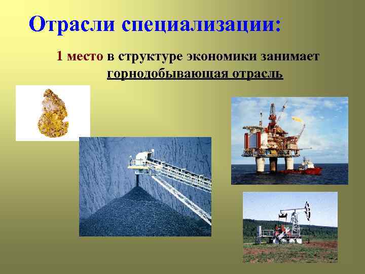 Отрасли специализации: 1 место в структуре экономики занимает горнодобывающая отрасль 