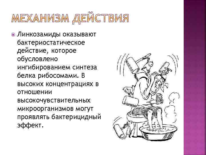  Линкозамиды оказывают бактериостатическое действие, которое обусловлено ингибированием синтеза белка рибосомами. В высоких концентрациях
