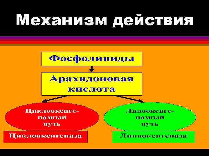 Механизм действия 