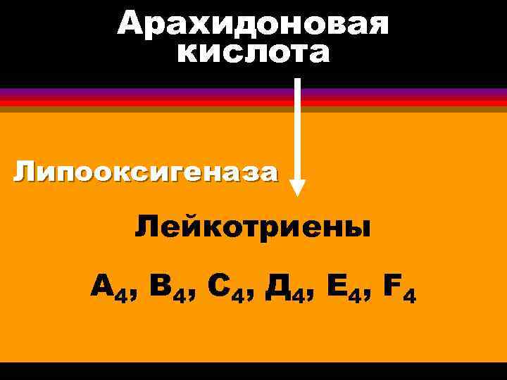 Арахидоновая кислота Липооксигеназа Лейкотриены А 4, В 4, С 4, Д 4, Е 4,