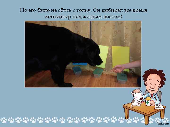 Но его было не сбить с толку. Он выбирал все время контейнер под желтым