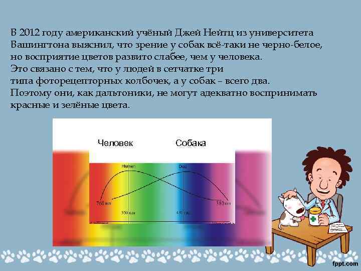 В 2012 году американский учёный Джей Нейтц из университета Вашингтона выяснил, что зрение у