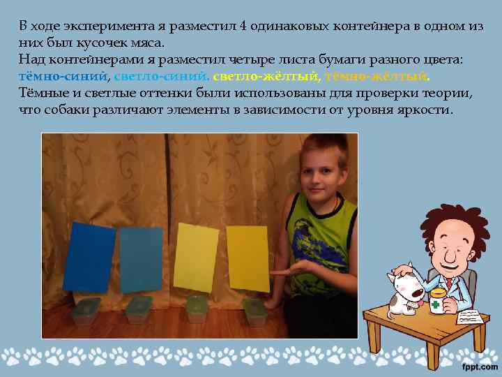 В ходе эксперимента я разместил 4 одинаковых контейнера в одном из них был кусочек