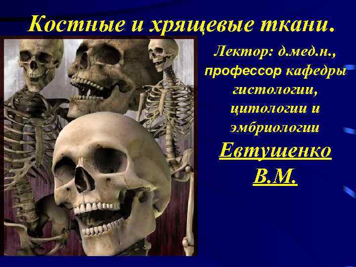 Костные и хрящевые ткани. Лектор: д. мед. н. , профессор кафедры гистологии, цитологии и