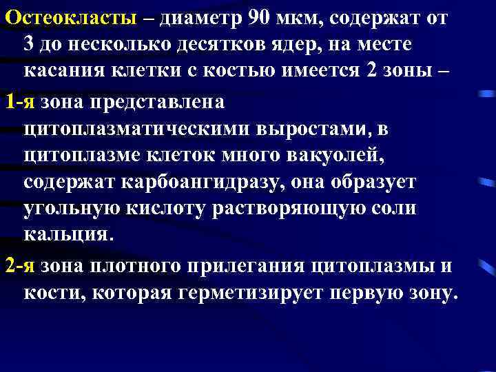 Остеокласты – диаметр 90 мкм, содержат от 3 до несколько десятков ядер, на месте