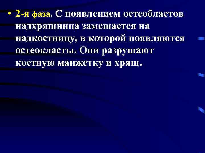  • 2 -я фаза. С появлением остеобластов надхрящница замещается на надкостницу, в которой