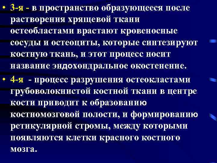  • 3 -я - в пространство образующееся после растворения хрящевой ткани остеобластами врастают