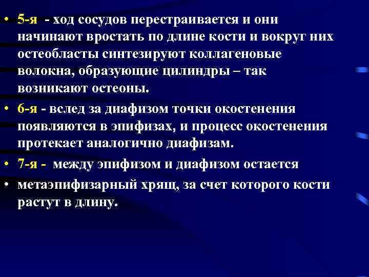  • 5 -я - ход сосудов перестраивается и они начинают вростать по длине