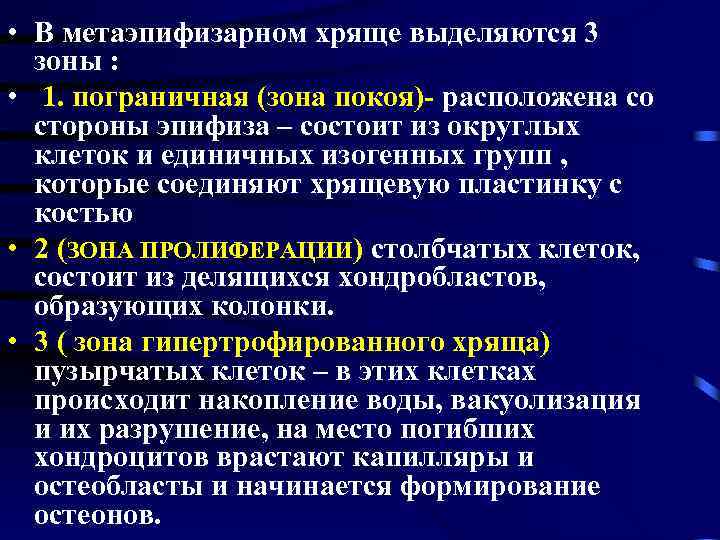  • В метаэпифизарном хряще выделяются 3 зоны : • 1. пограничная (зона покоя)-