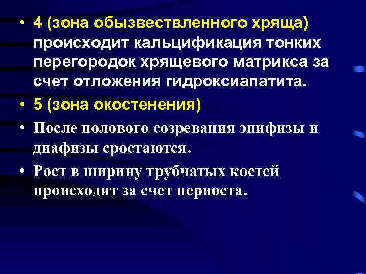  • 4 (зона обызвествленного хряща) происходит кальцификация тонких перегородок хрящевого матрикса за счет