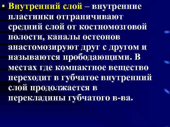  • Внутренний слой – внутренние пластинки отграничивают средний слой от костномозговой полости, каналы