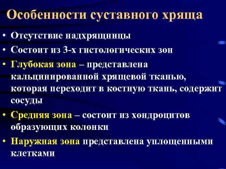 Особенности суставного хряща • Отсутствие надхрящницы • Состоит из 3 -х гистологических зон •