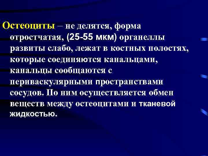 Остеоциты функции. Остеоцит характерные органеллы. Роль остеоцитов. Источник развития остеоцитов.