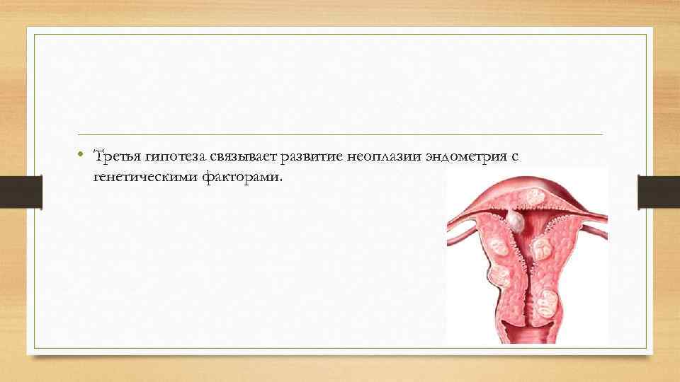  • Третья гипотеза связывает развитие неоплазии эндометрия с генетическими факторами. 
