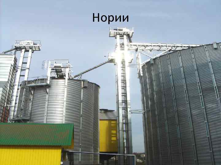 Нории 