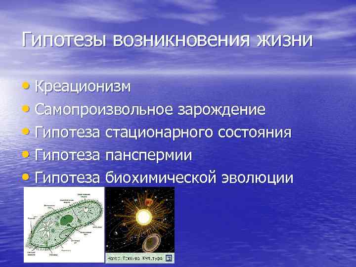 Гипотезы возникновения жизни • Креационизм • Самопроизвольное зарождение • Гипотеза стационарного состояния • Гипотеза