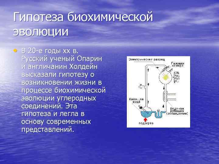 Гипотеза биохимической эволюции • В 20 -е годы xx в. Русский ученый Опарин и