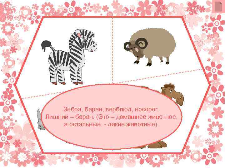 Зебра, баран, верблюд, носорог. Лишний – баран. (Это – домашнее животное, а остальные -