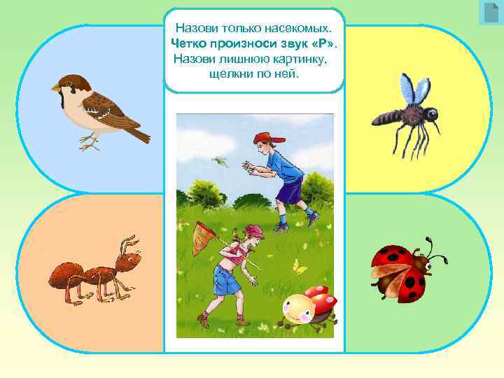 Назови только насекомых. Четко произноси звук «Р» . Назови лишнюю картинку, щелкни по ней.