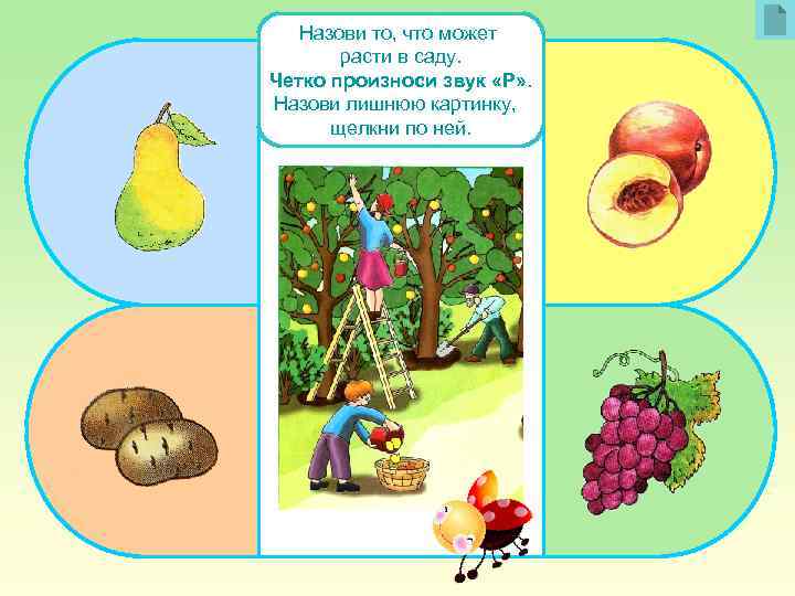 Назови то, что может расти в саду. Четко произноси звук «Р» . Назови лишнюю
