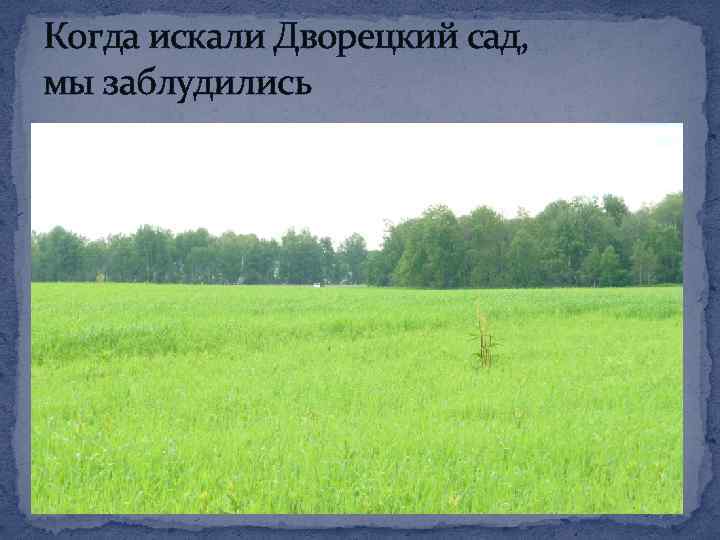 Когда искали Дворецкий сад, мы заблудились 