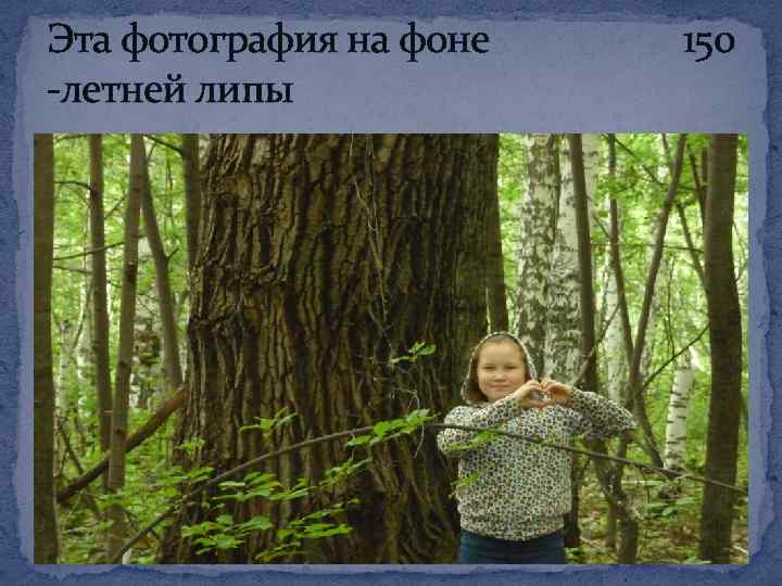 Эта фотография на фоне 150 -летней липы 
