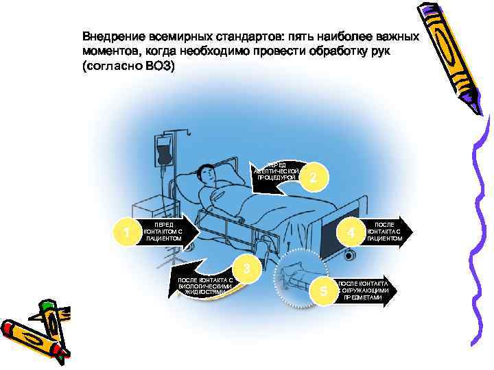 Внедрение всемирных стандартов: пять наиболее важных моментов, когда необходимо провести обработку рук (согласно ВОЗ)