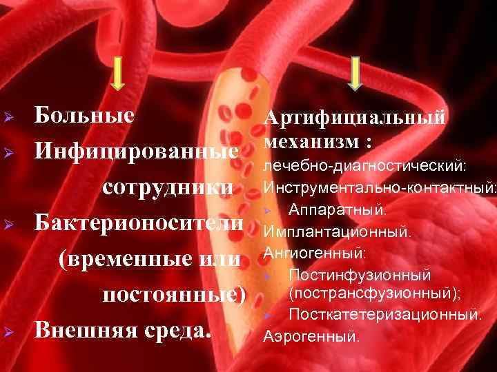 Ø Ø Больные Артифициальный механизм : Инфицированные лечебно-диагностический: сотрудники Инструментально-контактный: Ø Аппаратный. Бактерионосители Имплантационный.