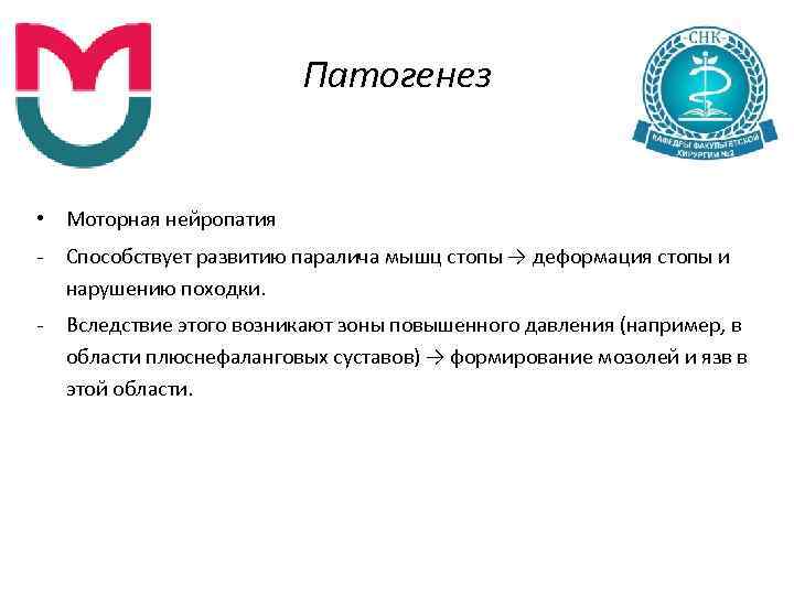 Патогенез • Моторная нейропатия Способствует развитию паралича мышц стопы → деформация стопы и нарушению