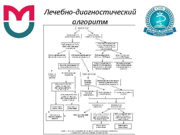 Лечебно-диагностический алгоритм 