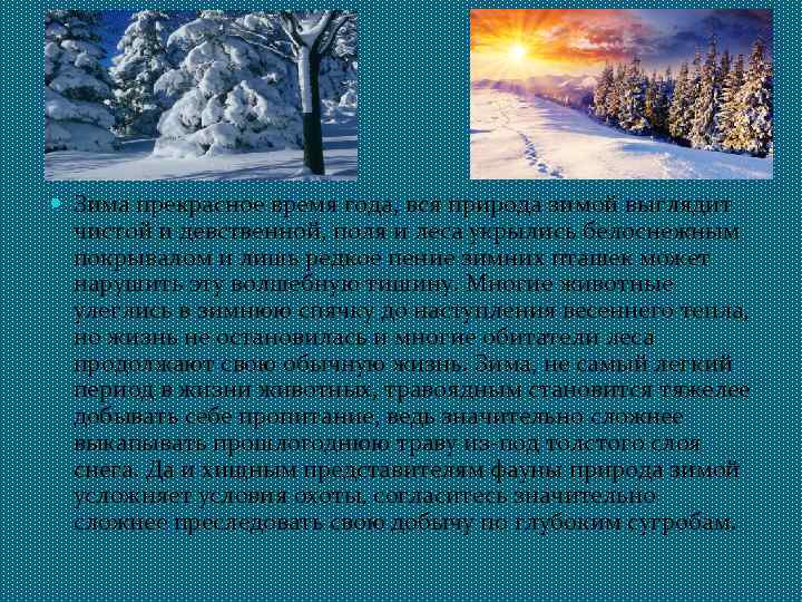  Зима прекрасное время года, вся природа зимой выглядит чистой и девственной, поля и
