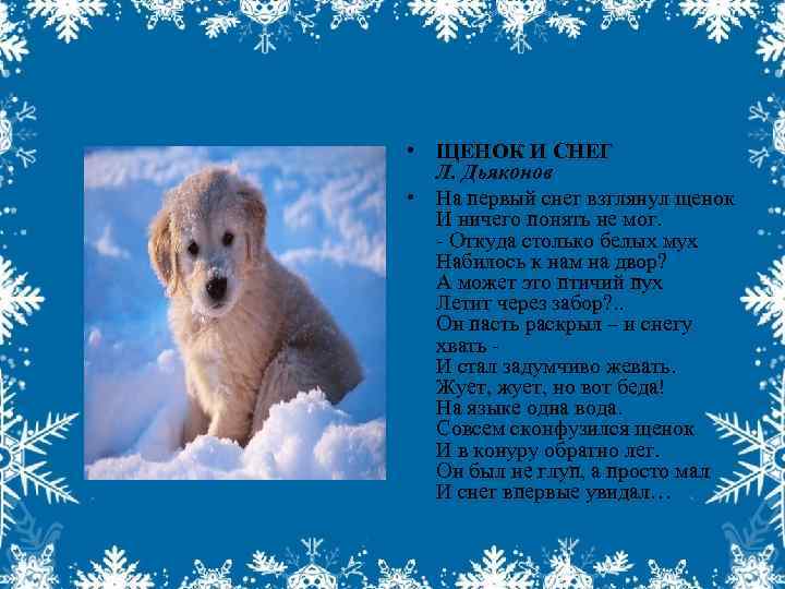  • ЩЕНОК И СНЕГ Л. Дьяконов • На первый снег взглянул щенок И