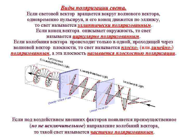 Направление колебаний вектора e в частично поляризованном свете показано на рисунке