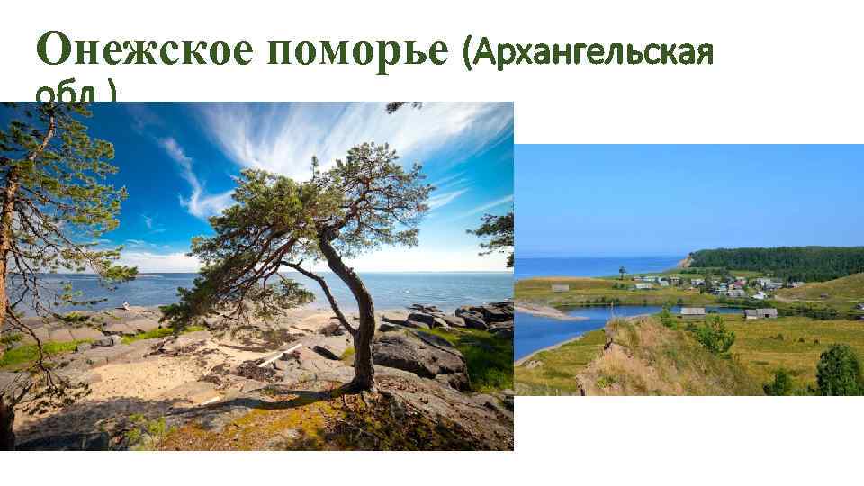 Онежское поморье (Архангельская обл. ) 