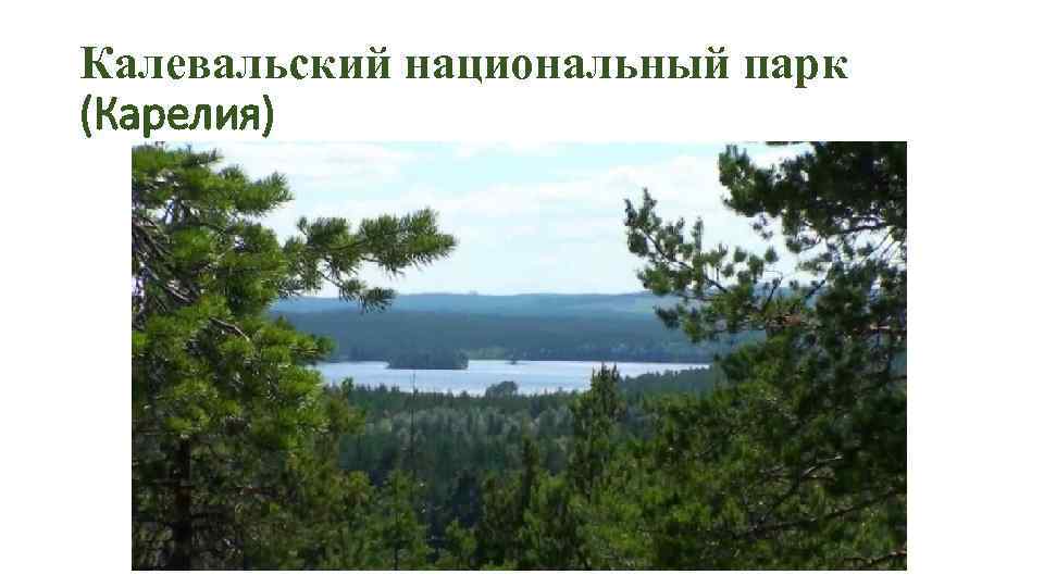 Калевальский национальный парк (Карелия) 