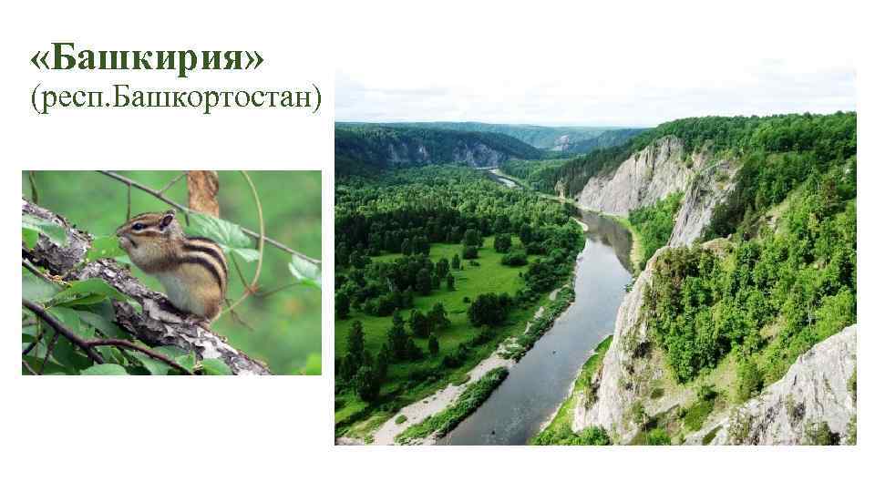  «Башкирия» (респ. Башкортостан) 