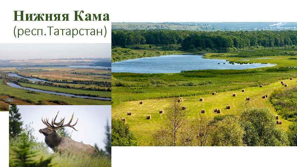 Нижняя Кама (респ. Татарстан) 