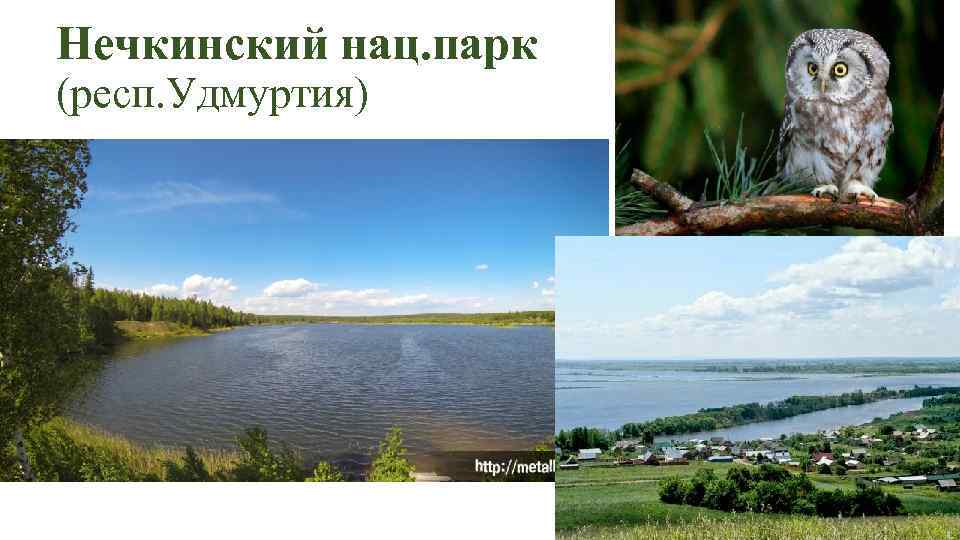 Нечкинский нац. парк (респ. Удмуртия) 