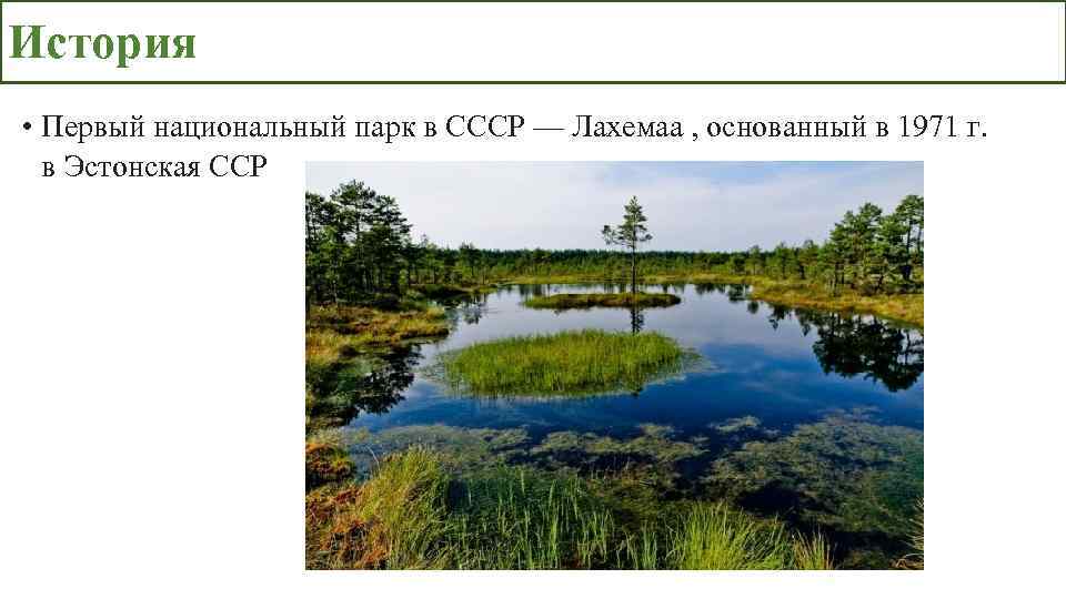 История • Первый национальный парк в СССР — Лахемаа , основанный в 1971 г.