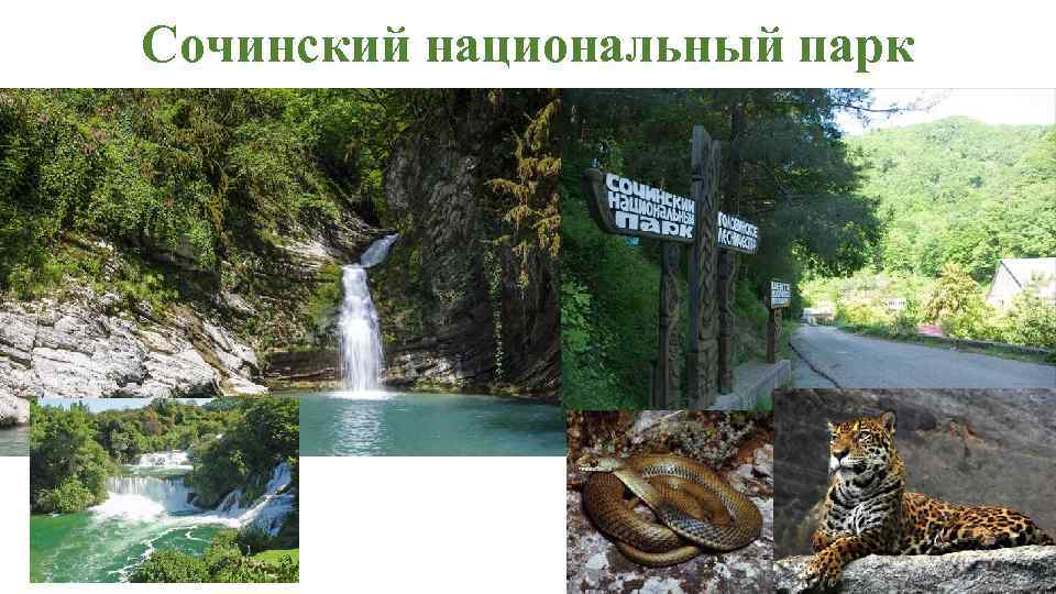 Сочинский национальный парк 