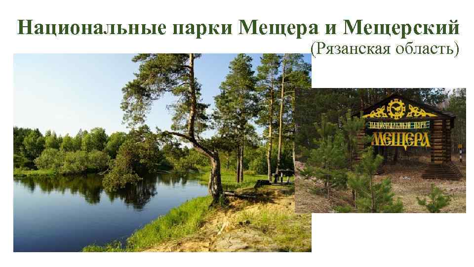 Национальные парки Мещера и Мещерский (Рязанская область) 