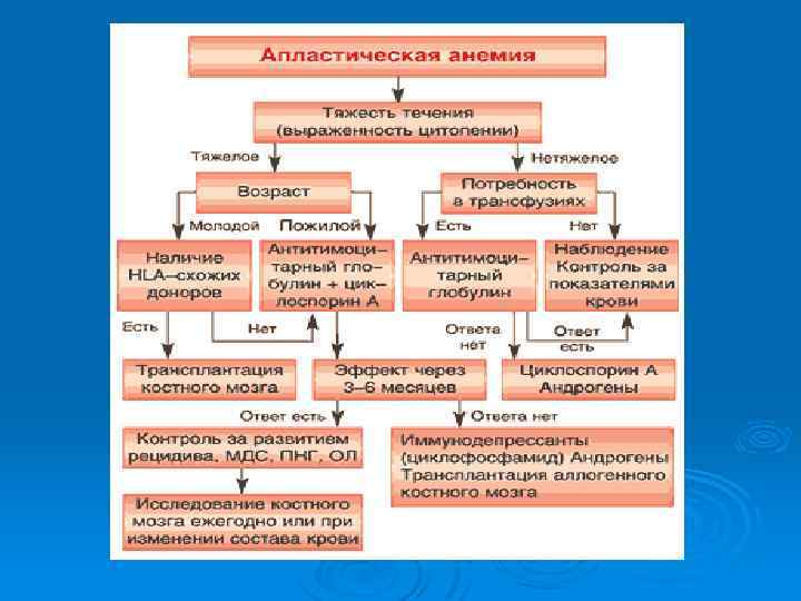 Анемии патофизиология презентация