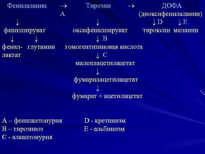 Фенилаланин А ↓ фенилпируват ↓ ↓ фенил- глутамин лактат А – фенилкетонурия В –