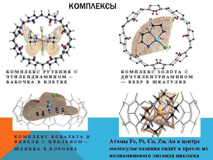 КОМПЛЕКСЫ КОМПЛЕКС РУТЕНИЯ С ЭТИЛЕНДИАМИНОМ — БАБОЧКА В КЛЕТКЕ КОМПЛЕКС КОБАЛЬТА И НИКЕЛЯ С