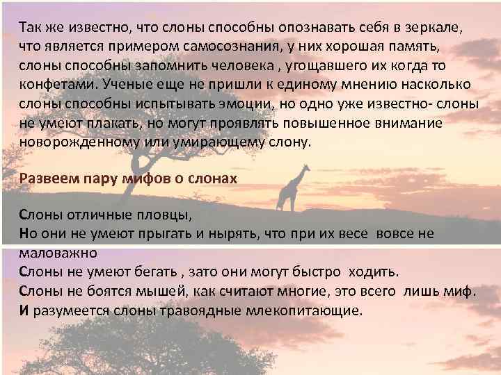 Так же известно, что слоны способны опознавать себя в зеркале, что является примером самосознания,