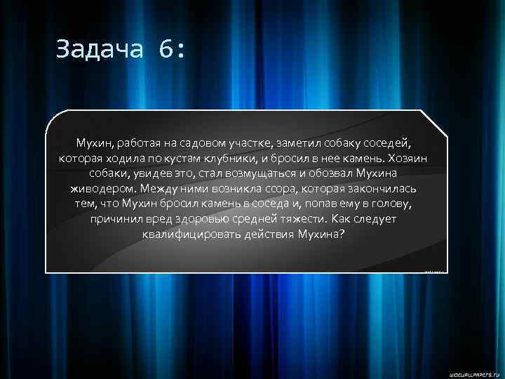 Задача 6: Мухин, работая на садовом участке, заметил собаку соседей, которая ходила по кустам