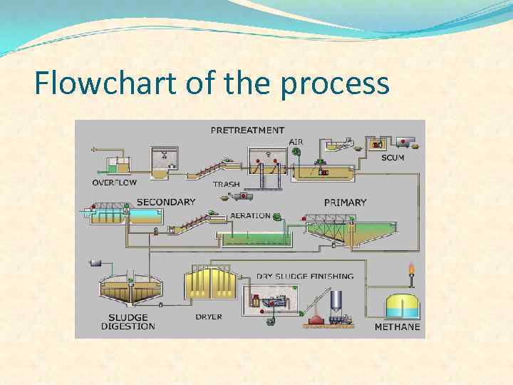  Flowchart of the process 