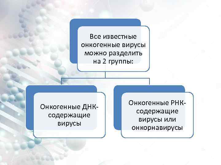 Все известные онкогенные вирусы можно разделить на 2 группы: Онкогенные ДНКсодержащие вирусы Онкогенные РНКсодержащие