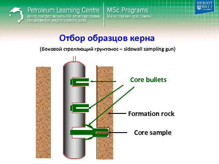 Отбор образцов керна (Боковой стреляющий грунтонос – sidewall sampling gun) Core bullets Formation rock