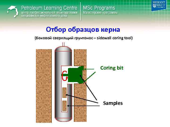 Отбор образцов керна (Боковой сверлящий грунтонос – sidewall coring tool) Coring bit Samples 